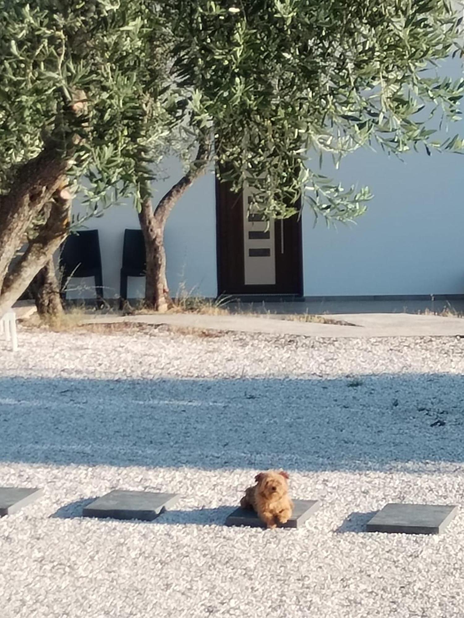 Farmhouse La Croisette - Agriturismo Dorgali Zewnętrze zdjęcie